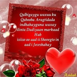 Meet your Posher, Muna